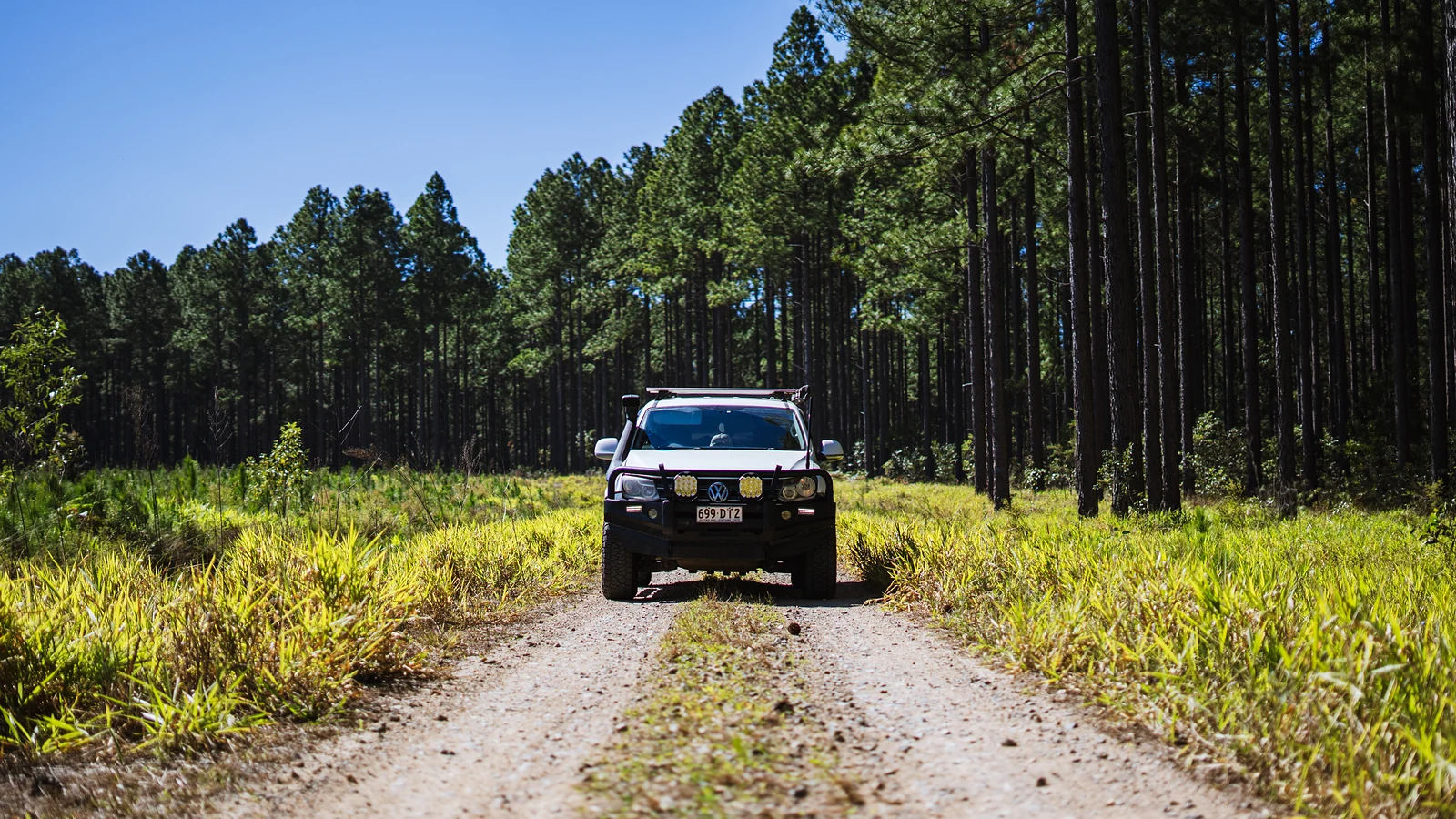 4WD ute driving down a dirt track through a pine forest